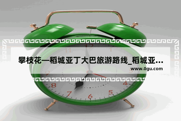 攀枝花—稻城亚丁大巴旅游路线_稻城亚丁四天三晚还是五夫四晚跟团好