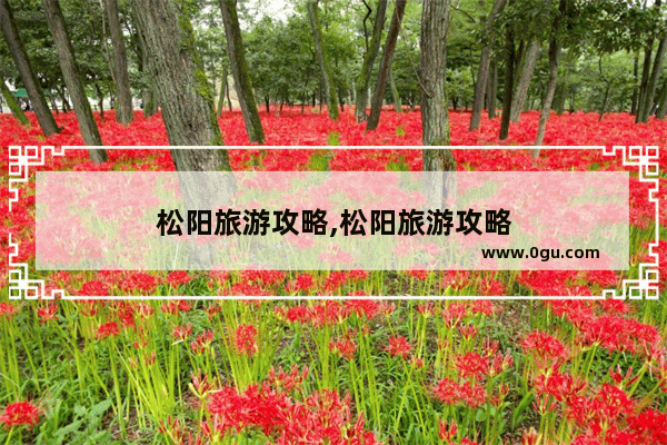 松阳旅游攻略,松阳旅游攻略