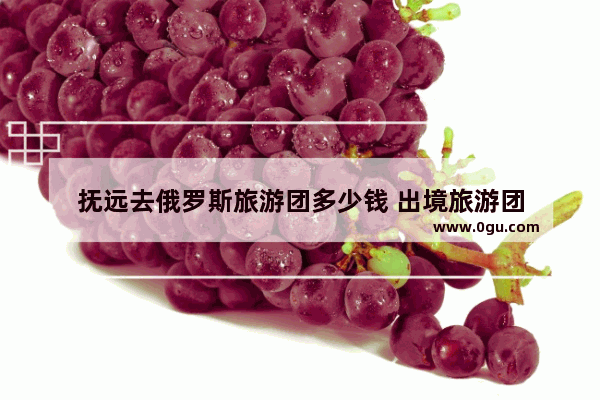 抚远去俄罗斯旅游团多少钱 出境旅游团