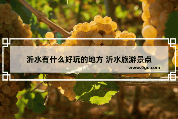 沂水有什么好玩的地方 沂水旅游景点