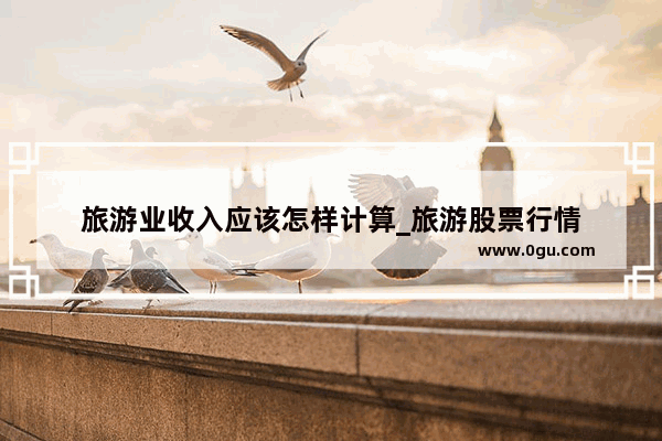 旅游业收入应该怎样计算_旅游股票行情