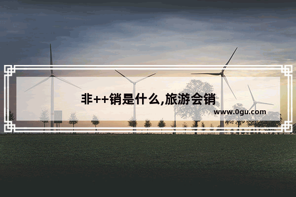 非++销是什么,旅游会销