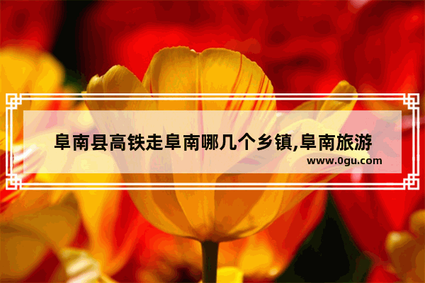 阜南县高铁走阜南哪几个乡镇,阜南旅游