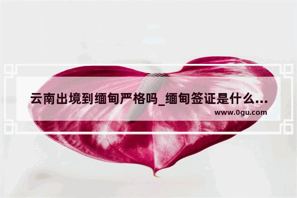 云南出境到缅甸严格吗_缅甸签证是什么样的