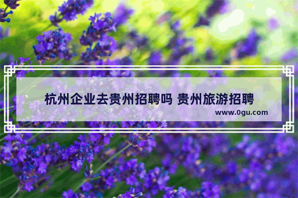 杭州企业去贵州招聘吗 贵州旅游招聘