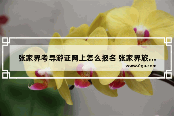 张家界考导游证网上怎么报名 张家界旅游导游