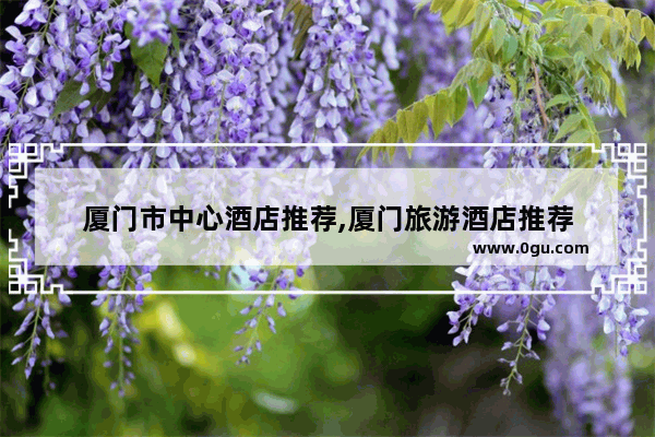 厦门市中心酒店推荐,厦门旅游酒店推荐