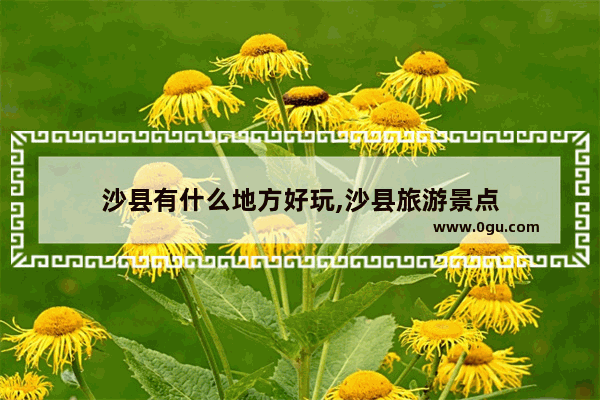 沙县有什么地方好玩,沙县旅游景点