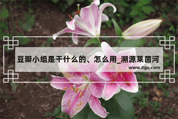 豆瓣小组是干什么的、怎么用_溯源莱茵河 豆瓣评分