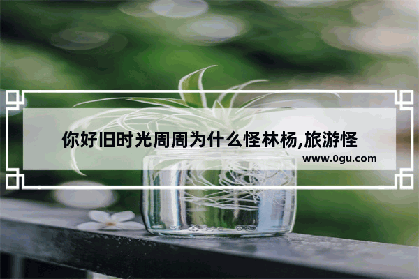 你好旧时光周周为什么怪林杨,旅游怪