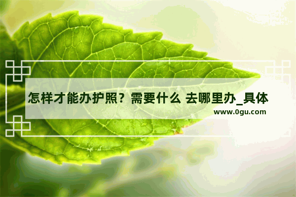 怎样才能办护照？需要什么 去哪里办_具体怎么办理护照 办理护照需要填写具体国家吗