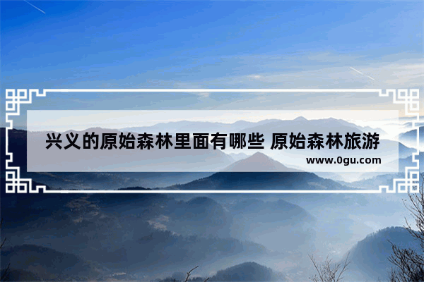 兴义的原始森林里面有哪些 原始森林旅游