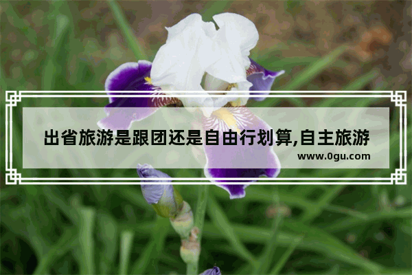 出省旅游是跟团还是自由行划算,自主旅游