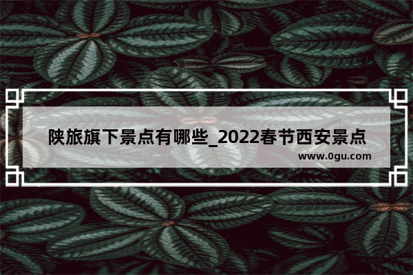 陕旅旗下景点有哪些_2022春节西安景点开放吗