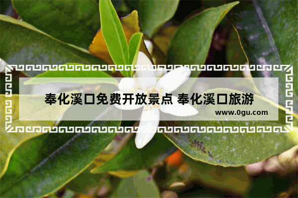 奉化溪口免费开放景点 奉化溪口旅游