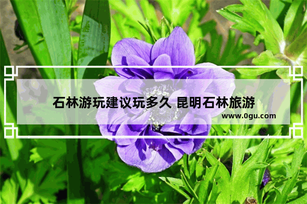 石林游玩建议玩多久 昆明石林旅游