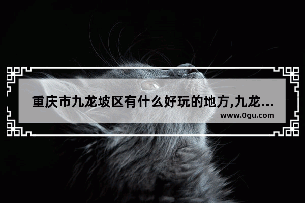 重庆市九龙坡区有什么好玩的地方,九龙坡旅游