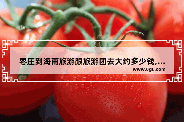 枣庄到海南旅游跟旅游团去大约多少钱,枣庄旅游团