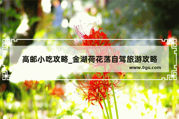 高邮小吃攻略_金湖荷花荡自驾旅游攻略