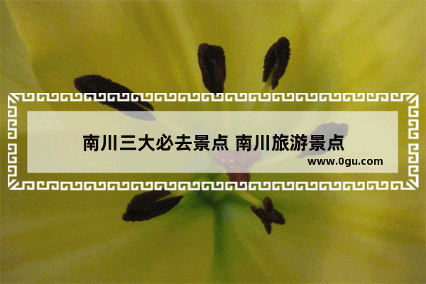 南川三大必去景点 南川旅游景点