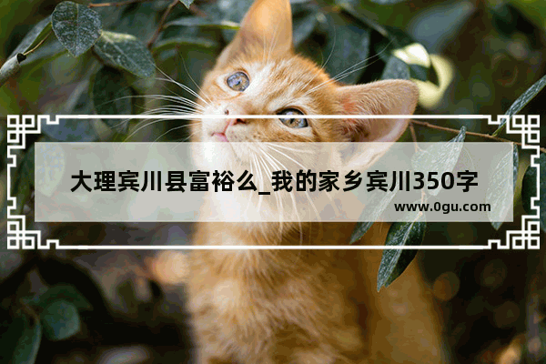 大理宾川县富裕么_我的家乡宾川350字