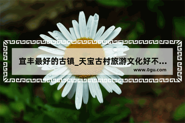 宜丰最好的古镇_天宝古村旅游文化好不好环境