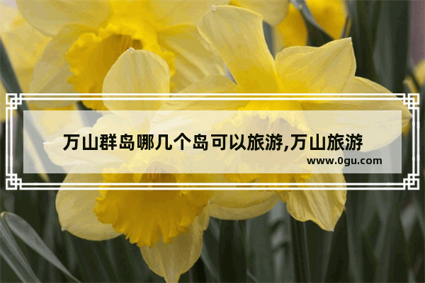 万山群岛哪几个岛可以旅游,万山旅游