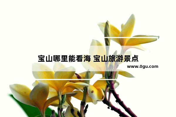 宝山哪里能看海 宝山旅游景点