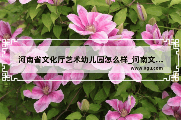 河南省文化厅艺术幼儿园怎么样_河南文化旅游厅