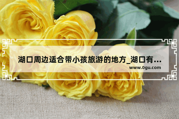 湖口周边适合带小孩旅游的地方_湖口有什么好玩的地方