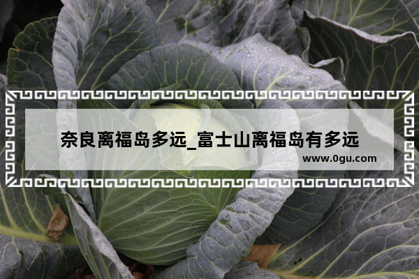 奈良离福岛多远_富士山离福岛有多远