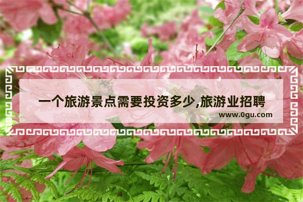 一个旅游景点需要投资多少,旅游业招聘