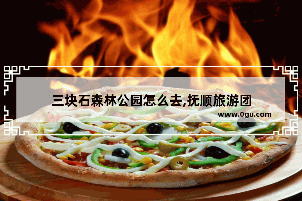三块石森林公园怎么去,抚顺旅游团