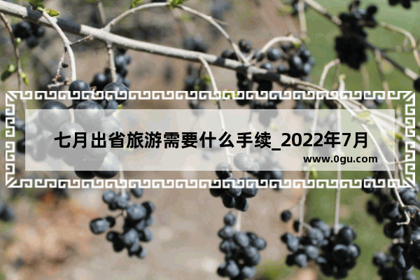 七月出省旅游需要什么手续_2022年7月1日以后去哪都行！可以不做核酸了吗