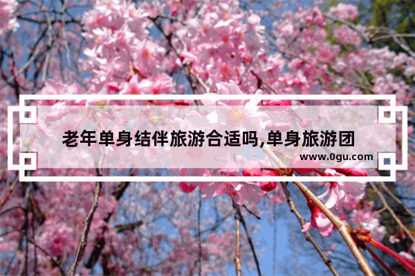老年单身结伴旅游合适吗,单身旅游团