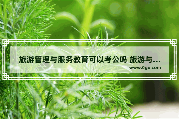 旅游管理与服务教育可以考公吗 旅游与教育