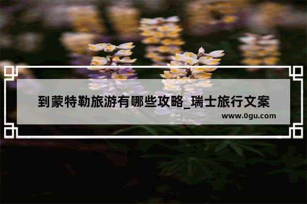 到蒙特勒旅游有哪些攻略_瑞士旅行文案