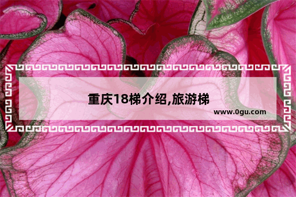 重庆18梯介绍,旅游梯