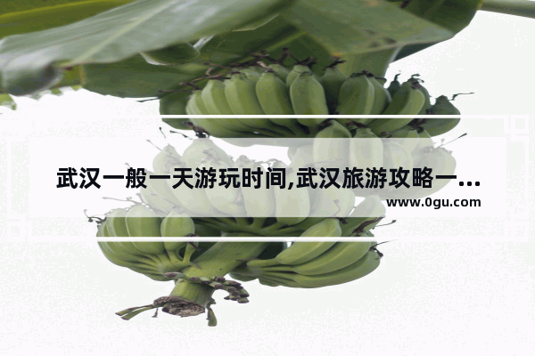 武汉一般一天游玩时间,武汉旅游攻略一日游