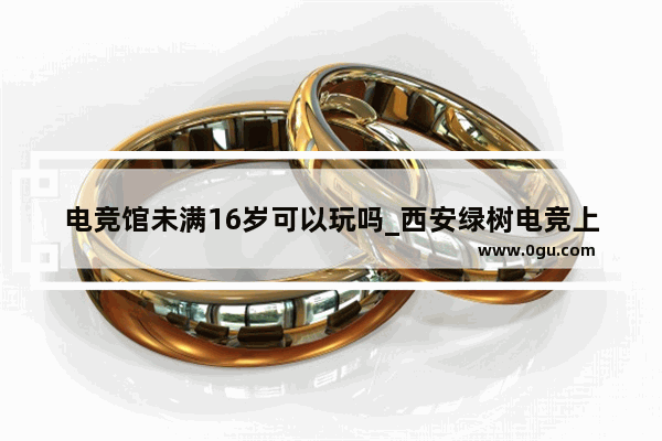 电竞馆未满16岁可以玩吗_西安绿树电竞上网需要身份证吗