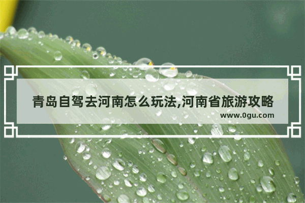 青岛自驾去河南怎么玩法,河南省旅游攻略