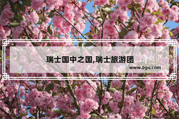 瑞士国中之国,瑞士旅游团