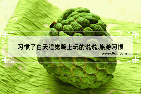 习惯了白天睡觉晚上玩的说说,旅游习惯