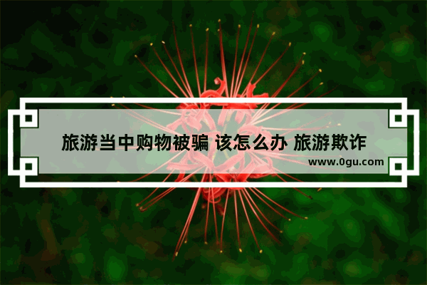 旅游当中购物被骗 该怎么办 旅游欺诈