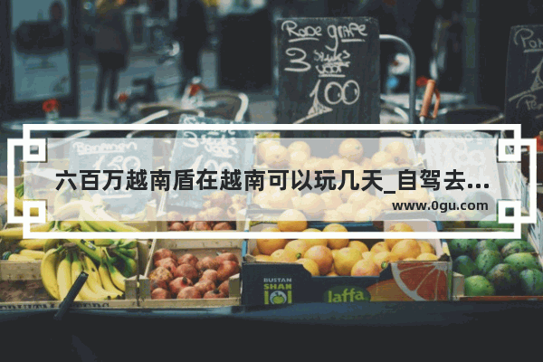 六百万越南盾在越南可以玩几天_自驾去越南需要什么手续和费用