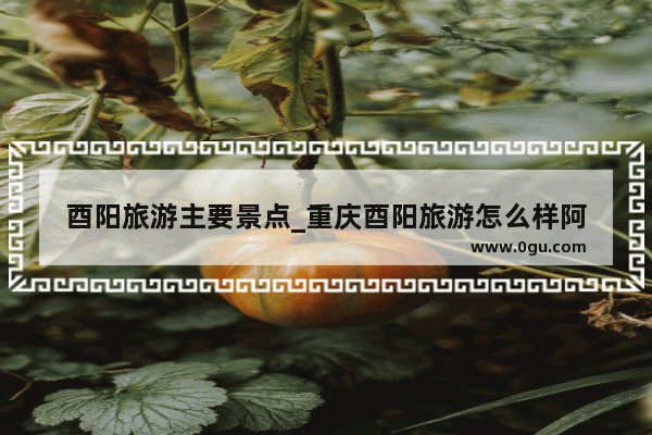 酉阳旅游主要景点_重庆酉阳旅游怎么样阿