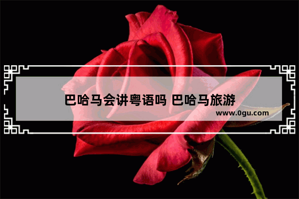 巴哈马会讲粤语吗 巴哈马旅游