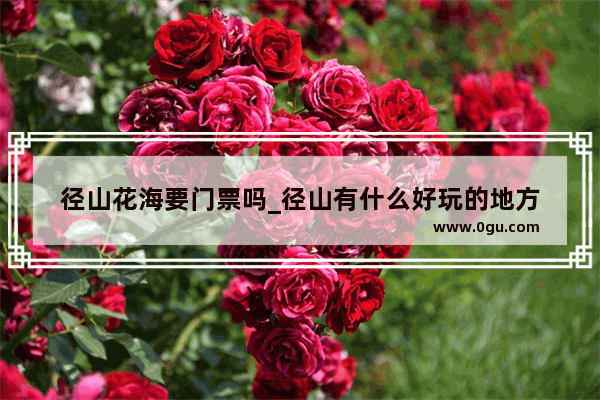 径山花海要门票吗_径山有什么好玩的地方