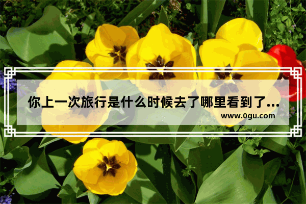 你上一次旅行是什么时候去了哪里看到了什么发生了什么事请用英语描述出来不少于5句话_鸢之歌游戏攻略