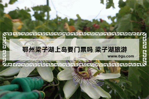 鄂州梁子湖上岛要门票吗 梁子湖旅游